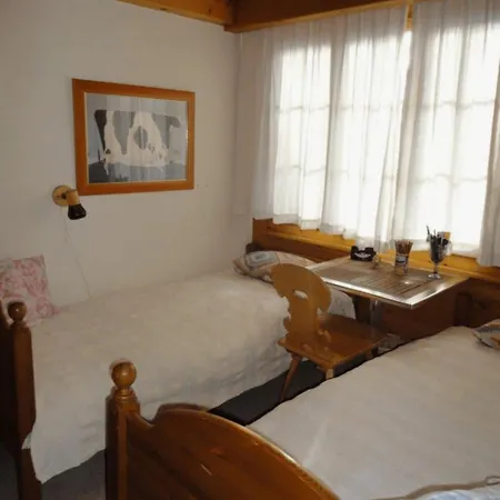 South Facing Family In Saanen Village